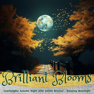 Comfortable Autumn Night with Gentle Breezes-Relaxing Moonlight