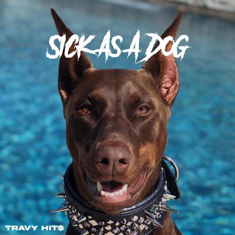 Sick As A Dog | Boomplay Music