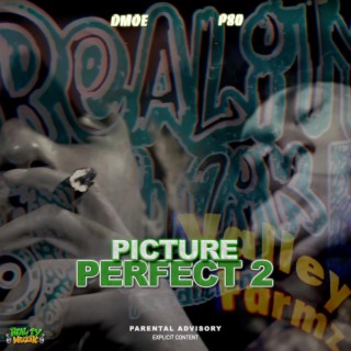 Picture Perfect 2