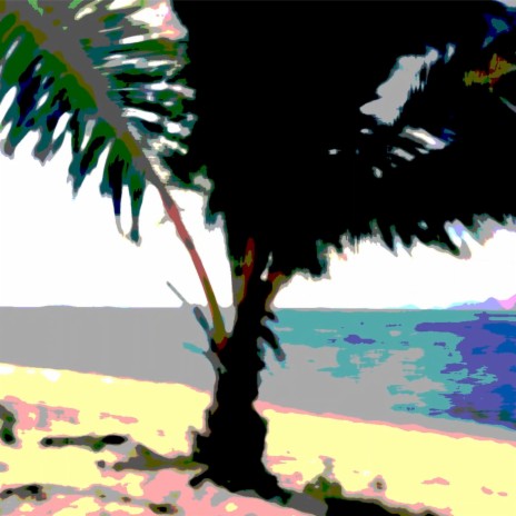 Palm Beach | Boomplay Music