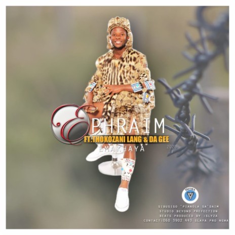 Emakhaya ft. Thokozani Langa & Da Gee | Boomplay Music