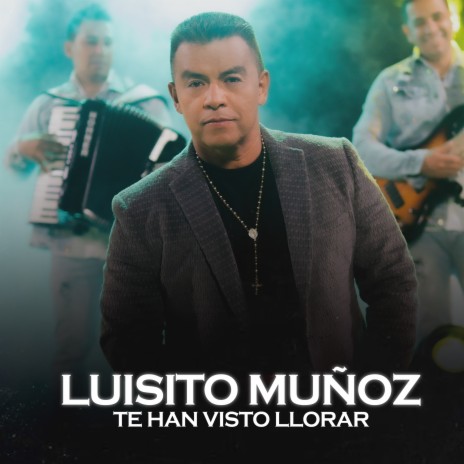 Te Han Visto Llorar | Boomplay Music