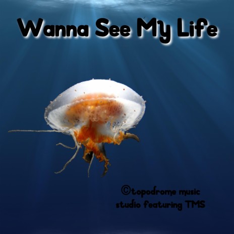 Wanna See My Life | Boomplay Music