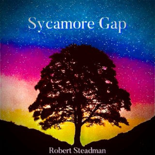 Sycamore Gap