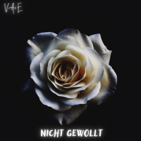 nicht gewollt | Boomplay Music