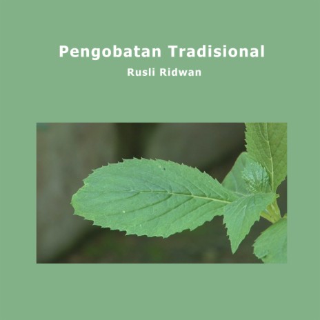 Pengobatan Tradisional | Boomplay Music