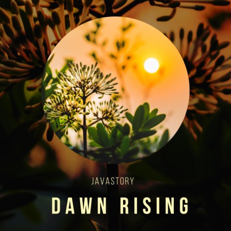 Dawn Rising | Boomplay Music