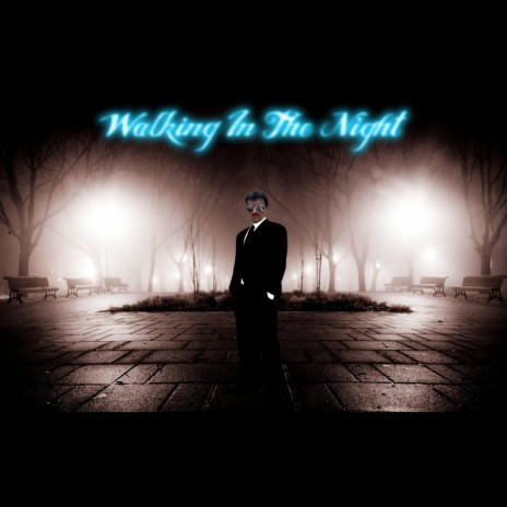 Walking In The Night (2014) | Boomplay Music