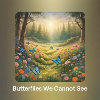 Butterflies We Cannot See