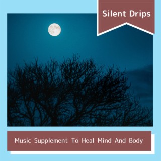 Music Supplement To Heal Mind And Body