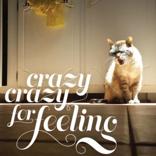 Crazy Crazy for Feeling