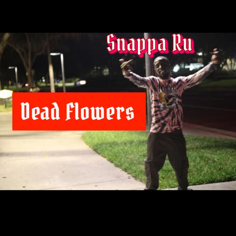 Dead flowers | Boomplay Music