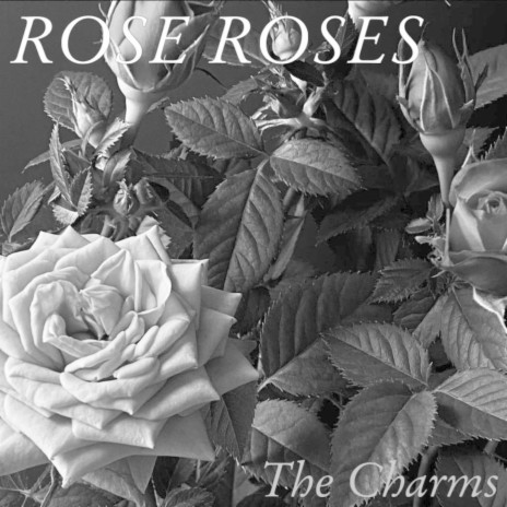 Rose Roses | Boomplay Music