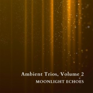 Ambient Trios, Vol. 2