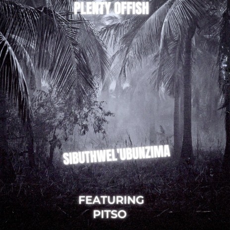 Sibuthwel'Ubunzima ft. Pitso