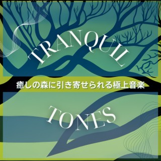 癒しの森に引き寄せられる極上音楽