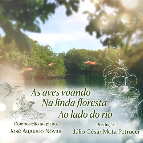 Um lindo passeio na floresta | Boomplay Music