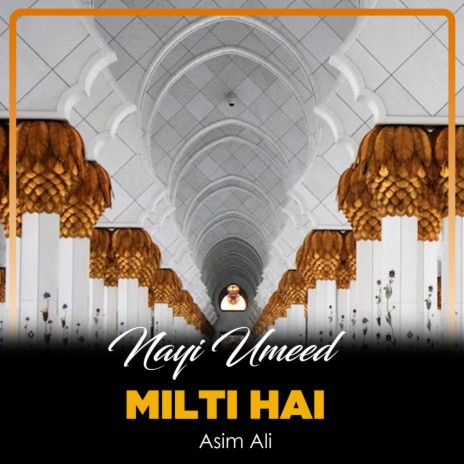 Nayi Umeed Milti Hai | Boomplay Music