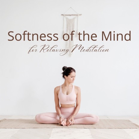 Softness of the Mind | Boomplay Music