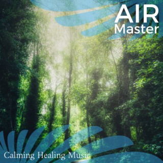 Calming Healing Music