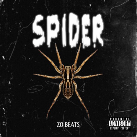 Spider | Boomplay Music