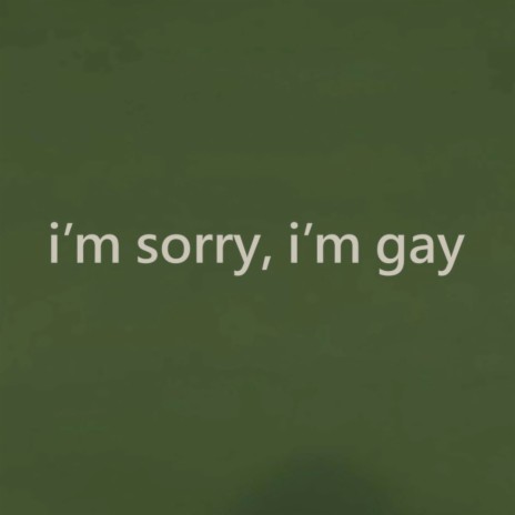 I'm Sorry, I'm Gay | Boomplay Music