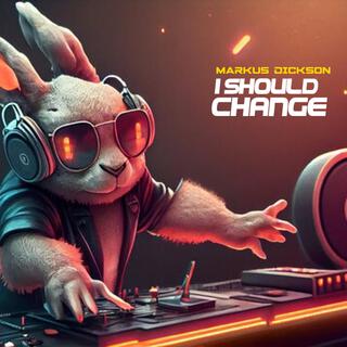 I SHOULD CHANGE (Radio Edit)