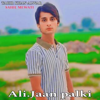 Ali.Jaan palki