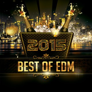 Best Of EDM 2015 (Best Of Electronic Dance Music, Techno, Progressive, House, Trance 2015)