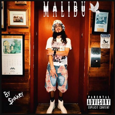 Malibu | Boomplay Music