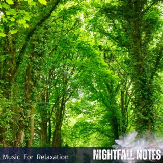 Music For Relaxation