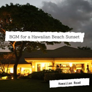 BGM for a Hawaiian Beach Sunset