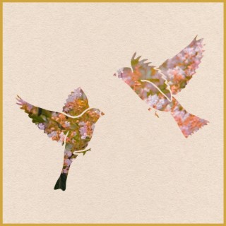 Two Birds lyrics | Boomplay Music