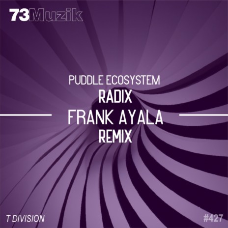 Radix (Frank Ayala Remix) | Boomplay Music