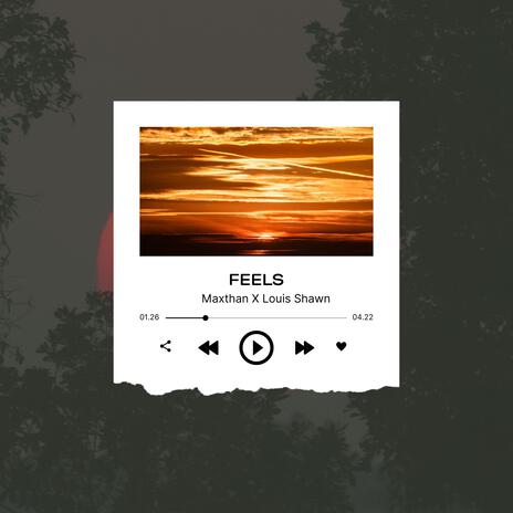 FEELS ft. Louis Shawn | Boomplay Music