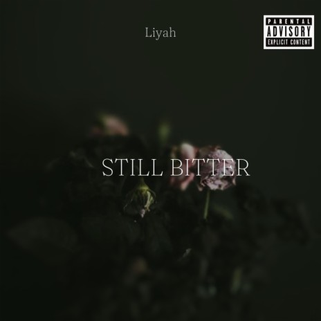 Still Bitter | Boomplay Music