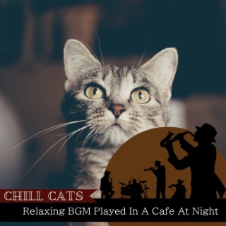 Relaxing BGM Played In A Cafe At Night