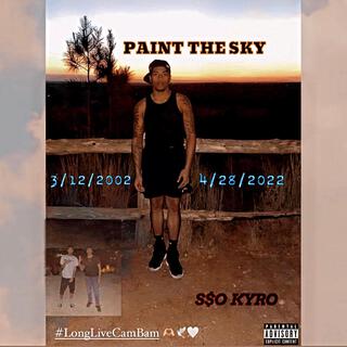 Paint The Sky lyrics | Boomplay Music