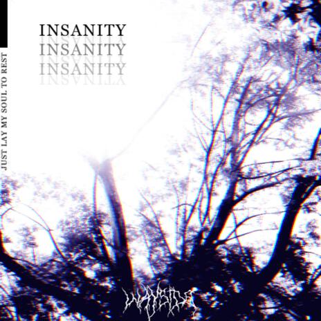 INSANITY | Boomplay Music