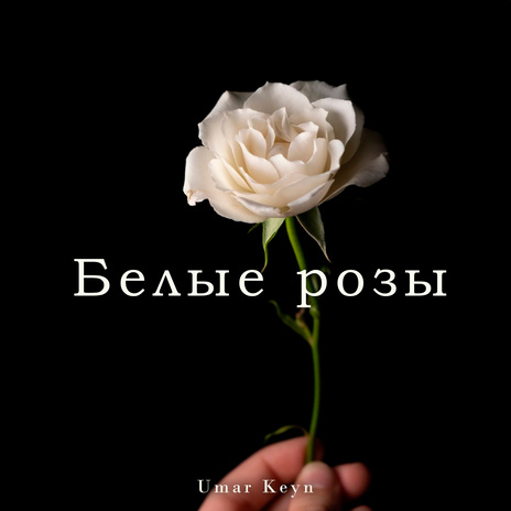 Белые розы | Boomplay Music