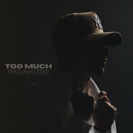 TOO MUCH | Boomplay Music