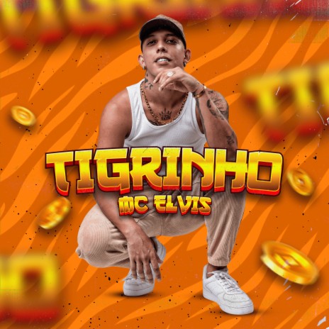 Tigrinho | Boomplay Music