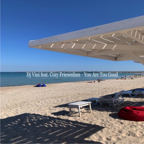 You Are Too Good (Original Mix) ft. DJ Nejtrino & Cory Friesenhan