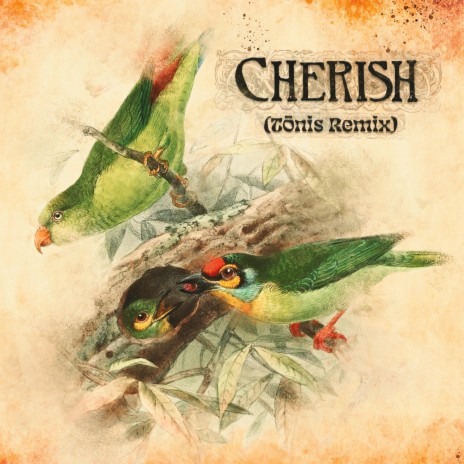 Cherish (Tōnis Remix) ft. Tōnis | Boomplay Music