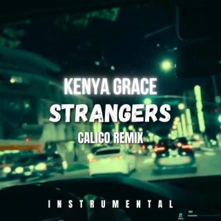 Strangers (CALICO REMIX - INSTRUMENTAL)