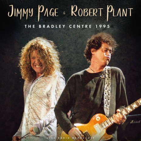 Shake My Tree (live) ft. Jimmy Page | Boomplay Music