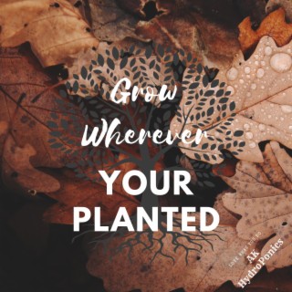 Grow wherever your planterd