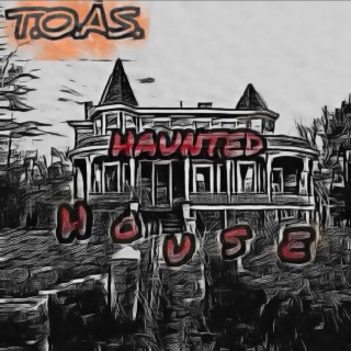 T.O.A.S. Haunted House