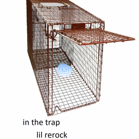 trap remix