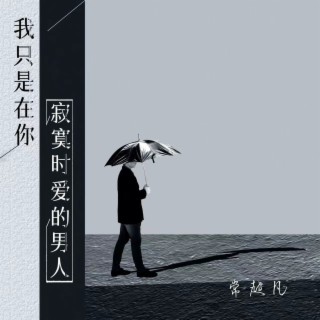 我只是你在寂寞时爱的男人 lyrics | Boomplay Music